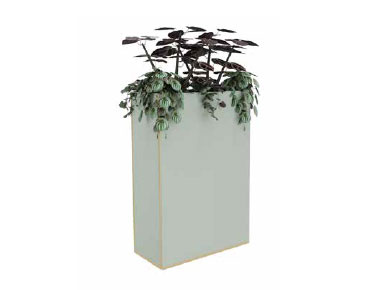 Kasvilaatikot/tilanjakajat