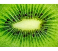 Akustiikkapaneeli Kiwi 120 x 90 cm