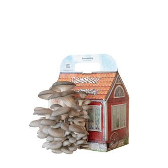 Sienitalo, Osterivinokas