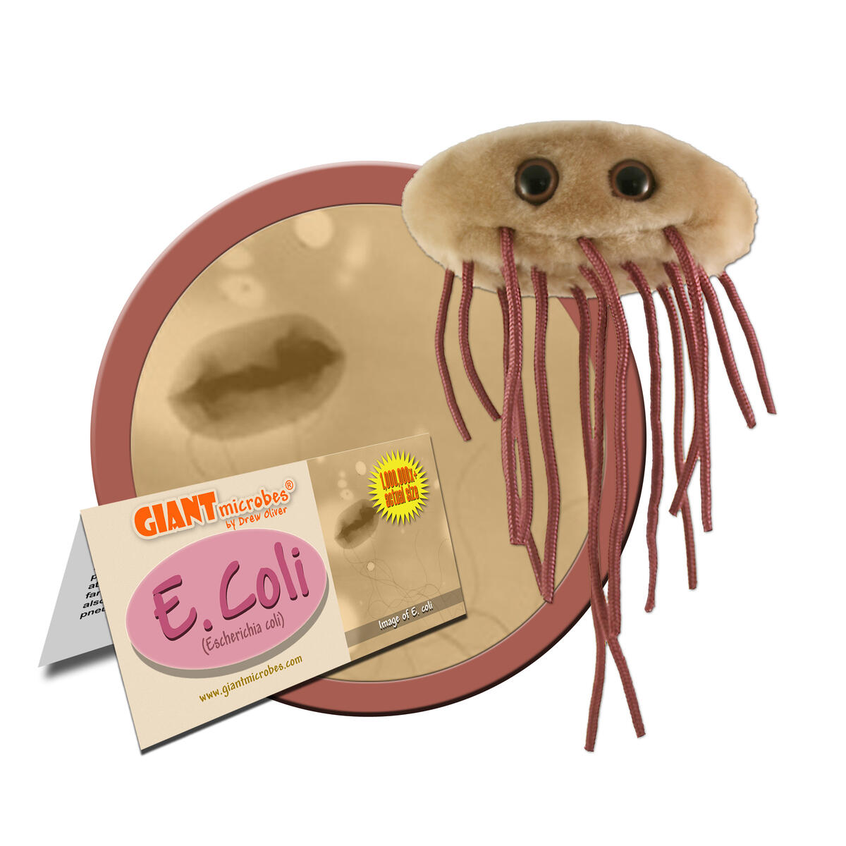 E. coli Lekolar Suomi