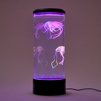 Pyöreä maneettiakvaario