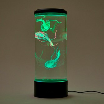 Pyöreä maneettiakvaario