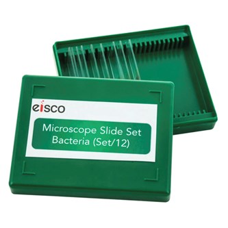 Preparaattisarja Bakteerit, 12 kpl