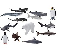 Meren eläimet, 13 kpl