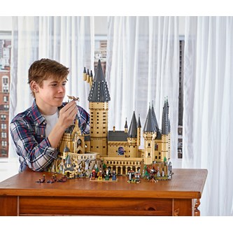 LEGO® Harry Potter™ Tylypahkan linna 71043