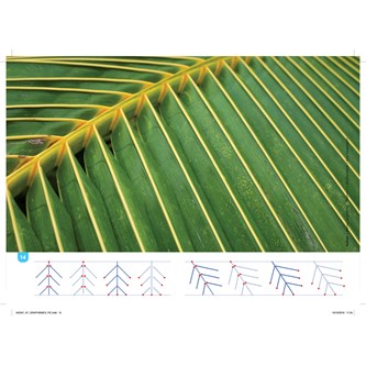 Kirjoittamiseen valmistava harjoitus