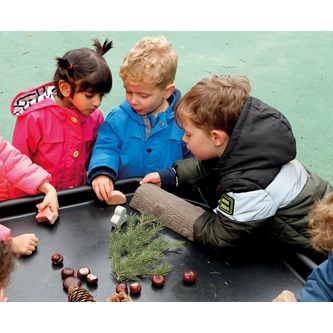 Metsän eläimet, kiveä