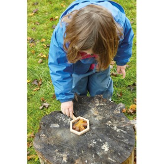 Tutki muotoja, 5 kpl