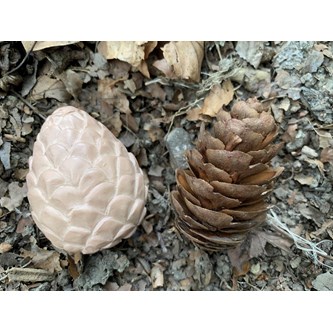 Luonnollisia muotoja, kiveä