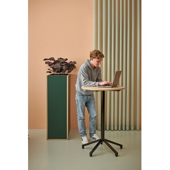 Pilare pöytä, akustik laminat, Ø 70 cm, musta jalusta
