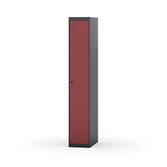 Novis vaatekaappi, tasakatto, 1:1, L30 cm