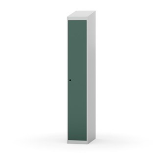 Novis vaatekaappi, vinokatto, 1:1, L30 cm