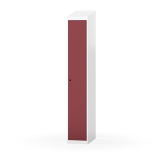 Novis vaatekaappi, vinokatto, 1:1, L30 cm