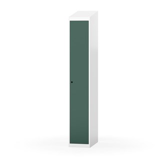 Novis vaatekaappi, vinokatto, 1:1, L30 cm
