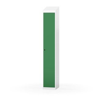 Novis vaatekaappi, vinokatto, 1:1, L30 cm