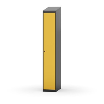 Novis vaatekaappi, vinokatto, 1:1, L30 cm