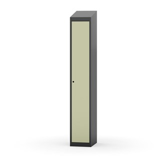 Novis vaatekaappi, vinokatto, 1:1, L30 cm