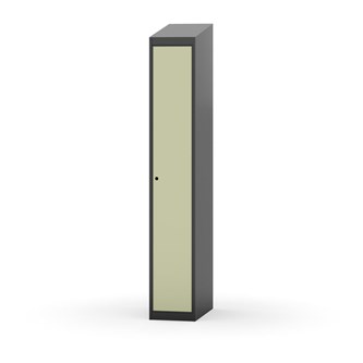 Novis vaatekaappi, vinokatto, 1:1, L30 cm