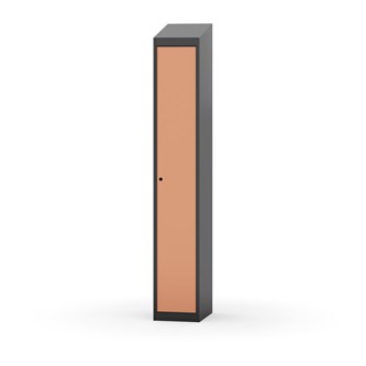Novis vaatekaappi, vinokatto, 1:1, L30 cm