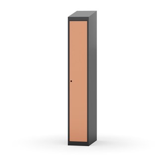 Novis vaatekaappi, vinokatto, 1:1, L30 cm