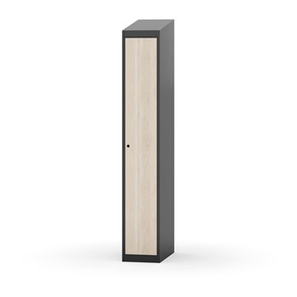 Novis vaatekaappi, vinokatto, 1:1, L30 cm