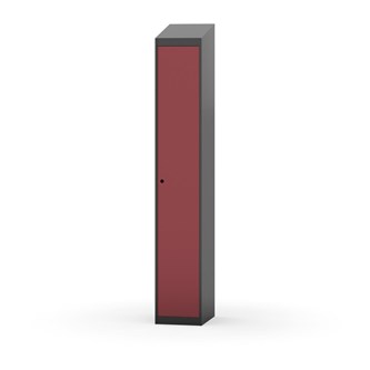 Novis vaatekaappi, vinokatto, 1:1, L30 cm