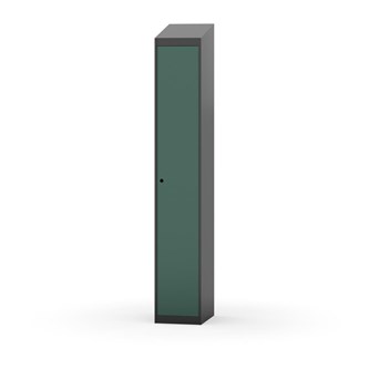 Novis vaatekaappi, vinokatto, 1:1, L30 cm