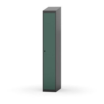 Novis vaatekaappi, vinokatto, 1:1, L30 cm