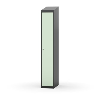 Novis vaatekaappi, vinokatto, 1:1, L30 cm