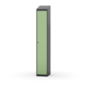Novis vaatekaappi, vinokatto, 1:1, L30 cm
