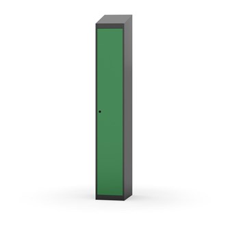 Novis vaatekaappi, vinokatto, 1:1, L30 cm