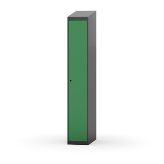 Novis vaatekaappi, vinokatto, 1:1, L30 cm