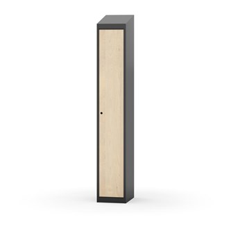 Novis vaatekaappi, vinokatto, 1:1, L30 cm