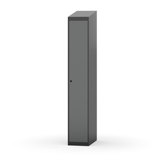 Novis vaatekaappi, vinokatto, 1:1, L30 cm