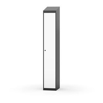 Novis vaatekaappi, vinokatto, 1:1, L30 cm