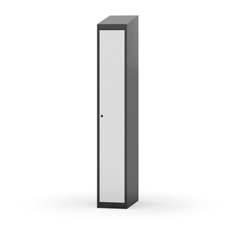 Novis vaatekaappi, vinokatto, 1:1, L30 cm