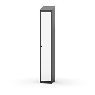 Novis vaatekaappi, vinokatto, 1:1, L30 cm