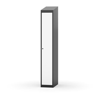 Novis vaatekaappi, vinokatto, 1:1, L30 cm