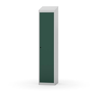 Novis vaatekaappi, vinokatto, 1:1, L40 cm