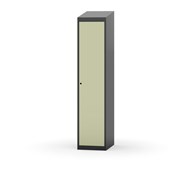 Novis vaatekaappi, vinokatto, 1:1, L40 cm