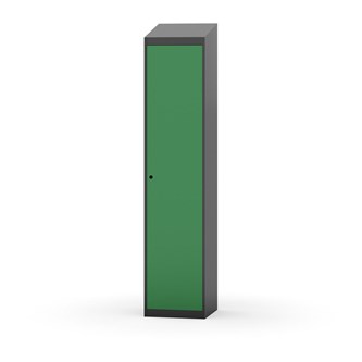 Novis vaatekaappi, vinokatto, 1:1, L40 cm