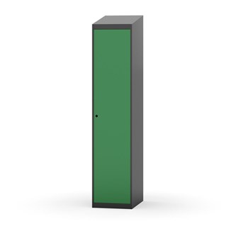 Novis vaatekaappi, vinokatto, 1:1, L40 cm
