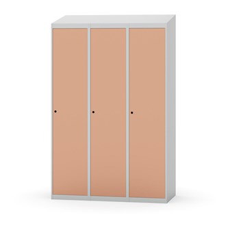 Novis vaatekaappi, vinokatto, 1:3, L120 cm