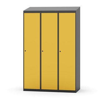 Novis vaatekaappi, vinokatto, 1:3, L120 cm