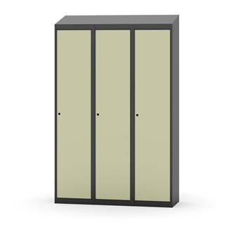 Novis vaatekaappi, vinokatto, 1:3, L120 cm