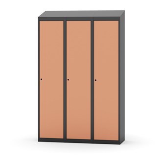 Novis vaatekaappi, vinokatto, 1:3, L120 cm