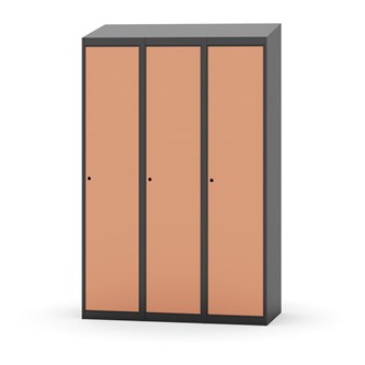 Novis vaatekaappi, vinokatto, 1:3, L120 cm