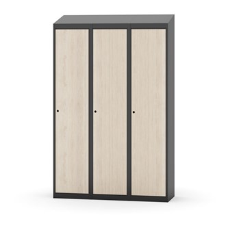 Novis vaatekaappi, vinokatto, 1:3, L120 cm