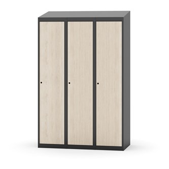 Novis vaatekaappi, vinokatto, 1:3, L120 cm