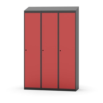 Novis vaatekaappi, vinokatto, 1:3, L120 cm